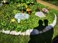 ein Bild aus dem Album